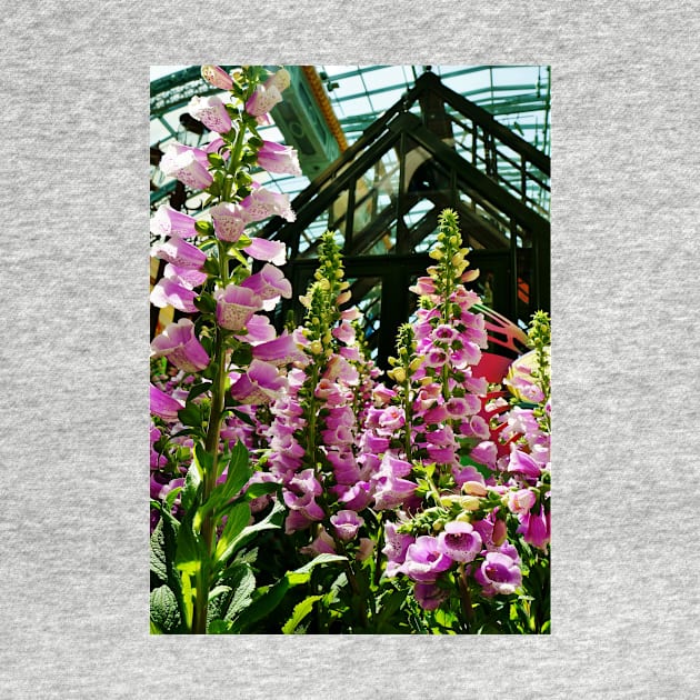 Pink Foxglove Framing a Glass Greenhouse by 1Redbublppasswo